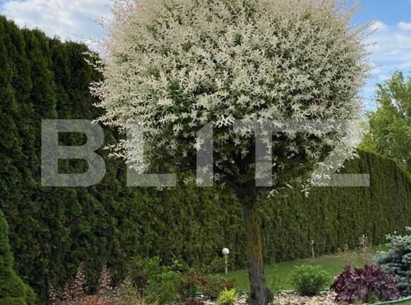 Casa de vânzare 5 camere Exterior Est - 139844CV | BLITZ Satu Mare | Poza17