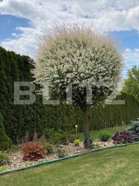 Casa de vânzare 5 camere Exterior Est - 139844CV | BLITZ Satu Mare | Poza8