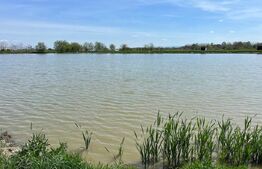 Teren de vânzare, zona Balta Blonda, 41235mp