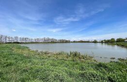 Teren de vânzare, zona Balta Blonda, 41235mp