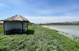 Teren de vânzare, zona Balta Blonda, 41235mp