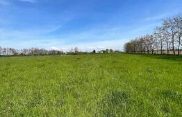 Teren de vânzare, zona Balta Blonda, 41235mp