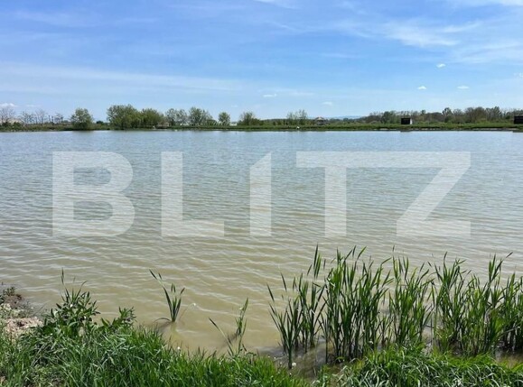 Teren de vânzare Periferie - 139846TV | BLITZ Satu Mare | Poza5