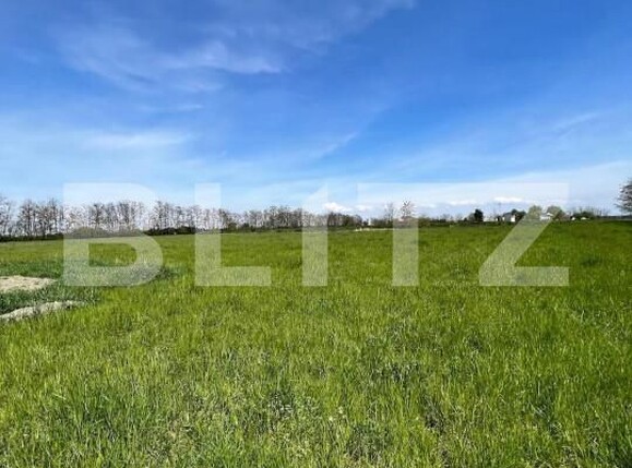 Teren de vânzare Periferie - 139846TV | BLITZ Satu Mare | Poza3