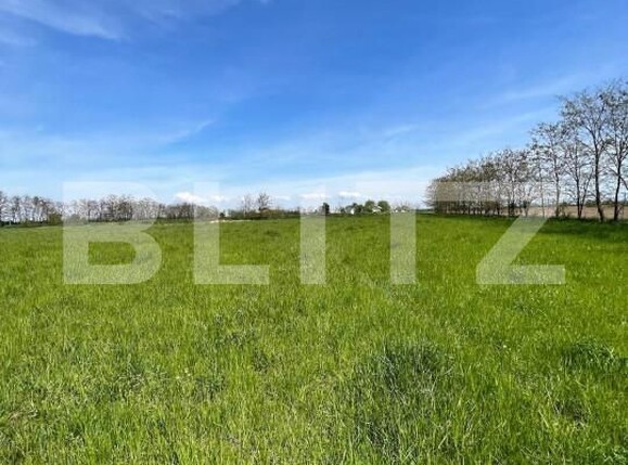 Teren de vânzare Periferie - 139846TV | BLITZ Satu Mare | Poza4