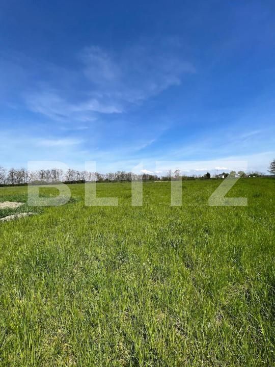 Teren de vânzare Periferie - 139846TV | BLITZ Satu Mare | Poza3