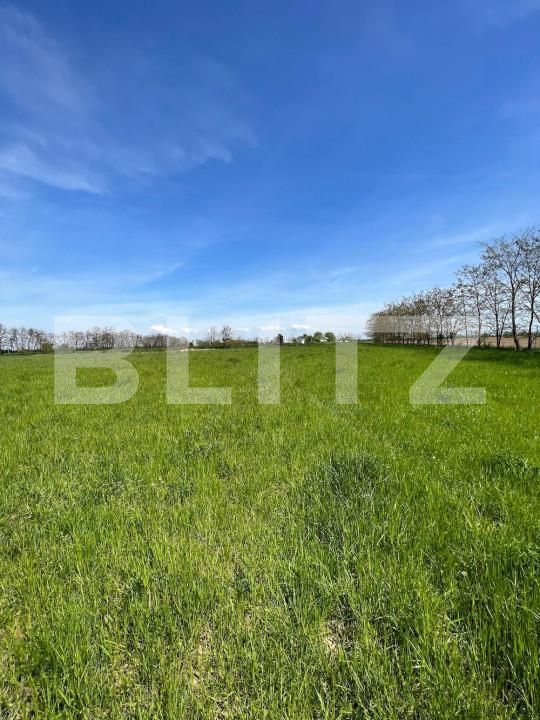 Teren de vânzare Periferie - 139846TV | BLITZ Satu Mare | Poza4