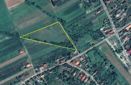 Teren intravilan, 13600mp, zona Viile Satu Mare