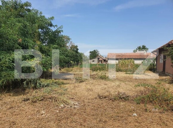 Casa de vânzare 3 camere Exterior Sud - 139848CV | BLITZ Satu Mare | Poza5