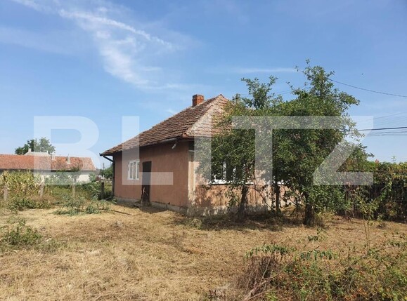 Casa de vânzare 3 camere Exterior Sud - 139848CV | BLITZ Satu Mare | Poza4