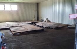 Hala de vanzare | 239mp + 1000mp teren | Halmeu