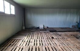 Hala de vanzare | 239mp + 1000mp teren | Halmeu