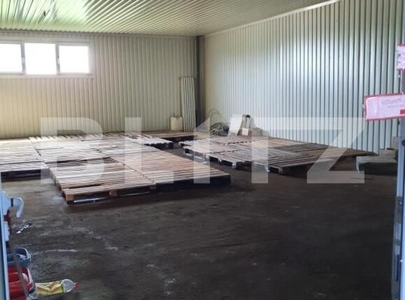 Spațiu industrial de vânzare Exterior Nord - 139849SVI | BLITZ Satu Mare | Poza6