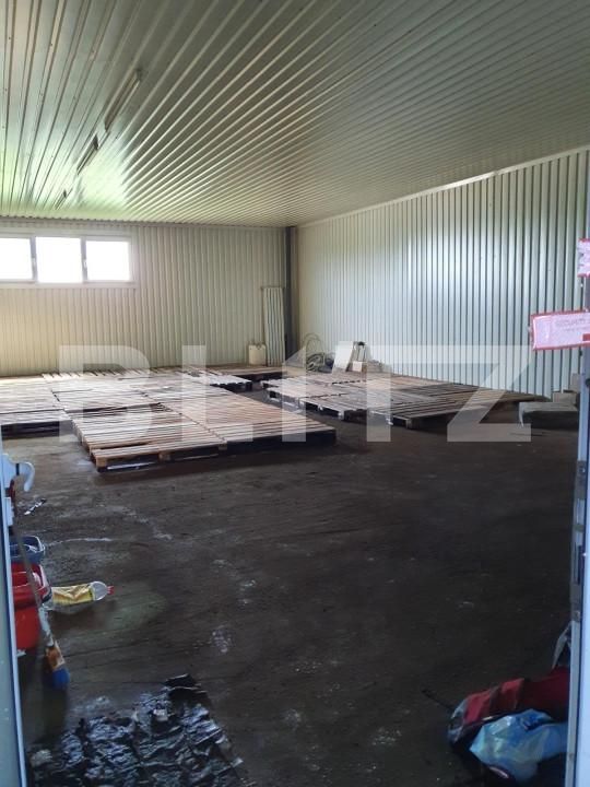 Spațiu industrial de vânzare Exterior Nord - 139849SVI | BLITZ Satu Mare | Poza6