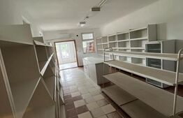 Spatiu Comercial, 78 mp , Odoreu