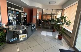 Spațiu comercial de închiriat Lucian Blaga - 190391SIC | BLITZ Satu Mare | Poza1