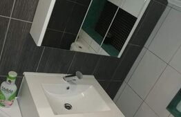 Casa de 4 camere in Botiz