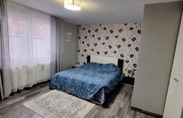 Casa de 4 camere in Botiz