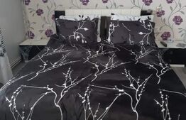 Casa de 4 camere in Botiz