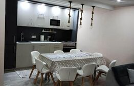 Casa de 4 camere in Botiz