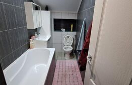 Casa de 4 camere in Botiz