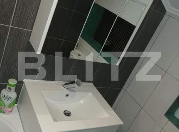 Casa de vânzare 4 camere Botiz - 139857CV | BLITZ Satu Mare | Poza6