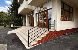  Spațiu Comercial în Zona KFC, 180 mp ,Strada Careiului