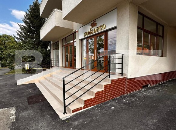 Spațiu comercial de închiriat Careiului - 139858SIC | BLITZ Satu Mare | Poza3