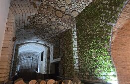 Spațiu Comercial Ultracentral, chirie 0 Euro primele 6 luni 