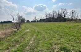 Doua parcele de vanzare | 900mp | Floare de colt