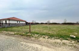 Teren intravilan | 700mp | Odoreu