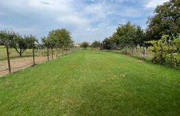 Proprietate de excepție cu casă spațioasă, piscină și teren generos