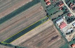 Teren extravilan | 5.000mp | Lazuri