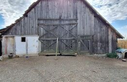 Casa bătrânească cu anexe , teren de 4200mp, zona Madaras