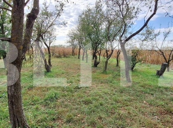 Casa de vânzare 3 camere Mădăras - 139891CV | BLITZ Satu Mare | Poza1