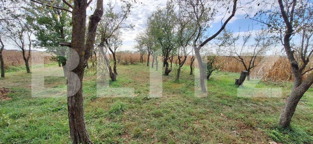 Casa de vânzare 3 camere Mădăras - 139891CV | BLITZ Satu Mare | Poza1