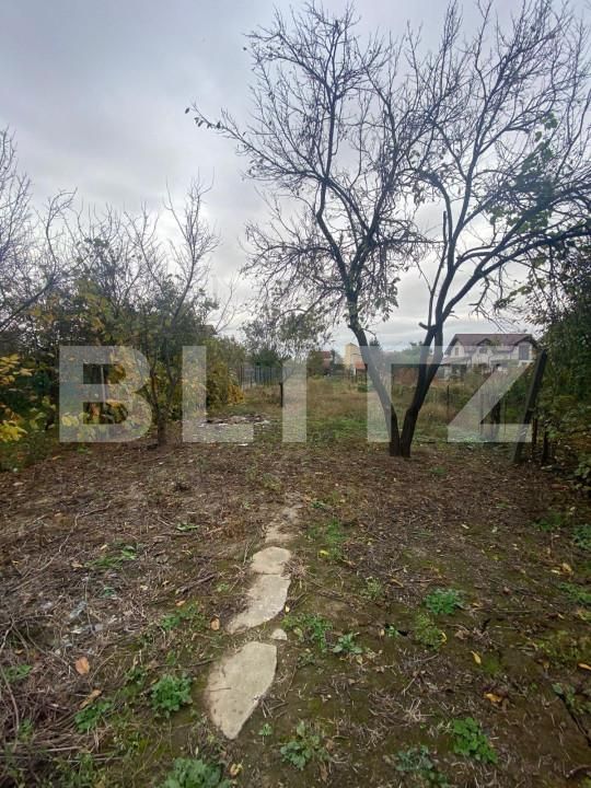 Casa de vânzare 3 camere Semicentral - 139894CV | BLITZ Satu Mare | Poza7