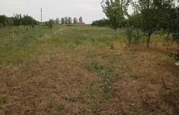 Casa de vanzare | 167mp construiti | Satmarel