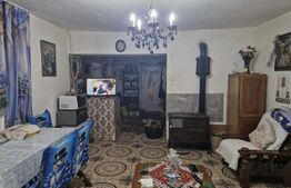 Casa de vanzare, 214 mp, Terebesti