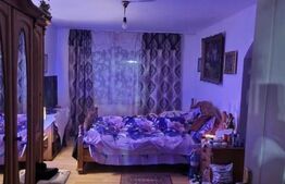 Casa de vanzare, 214 mp, Terebesti