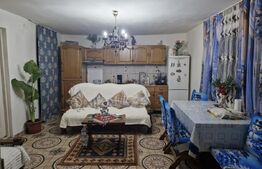 Casa de vanzare, 214 mp, Terebesti