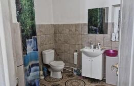 Casa de vanzare, 214 mp, Terebesti