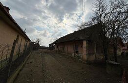 Casa de vânzare 2 camere Sud - 169001CV | BLITZ Satu Mare | Poza3