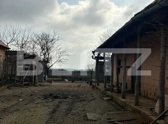 Casa de vânzare 3 camere Sătmărel - 139900CV | BLITZ Satu Mare | Poza2