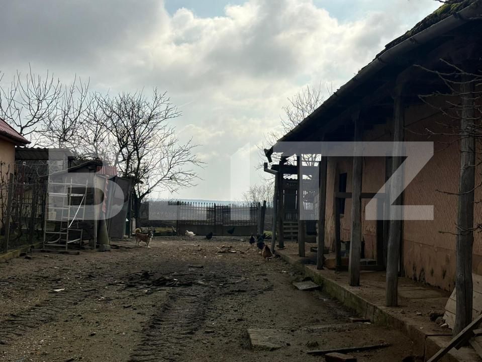 Casa de vânzare 3 camere Sătmărel - 139900CV | BLITZ Satu Mare | Poza2