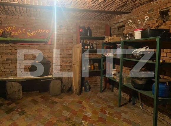 Casa de vânzare 6 camere Central - 139902CV | BLITZ Satu Mare | Poza9