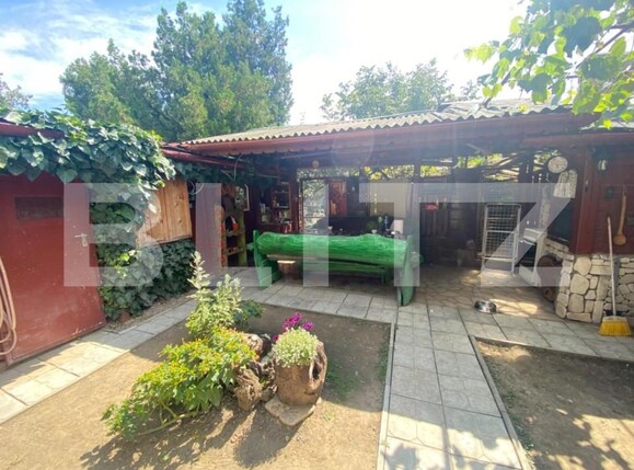 Casa de vânzare 6 camere Central - 139902CV | BLITZ Satu Mare | Poza11