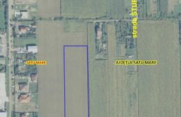 Oportunitate! Teren intravilan, 9433 mp zona strada Careiului 