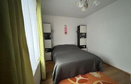 Casa cu 4 camere pe 2 nivele cu 180 mp uitii + 7 ari teren Str Careiului 