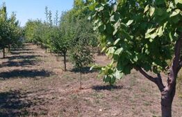 Teren extravilan de vanzare 2603 mp, zona IPL